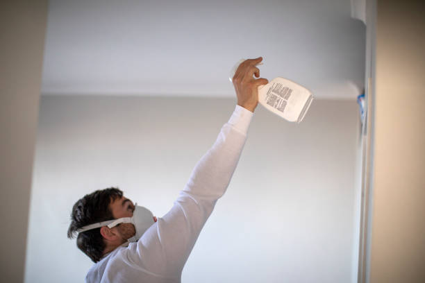 Best Office Mold Removal Services  in Rapid City, MI