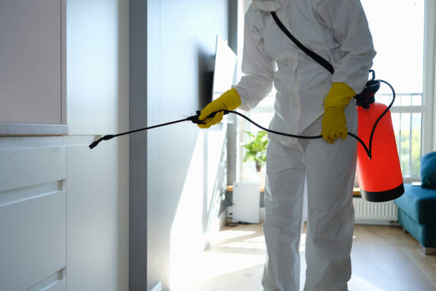 Best Mold Testing  in Rapid City, MI